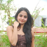 Actress Sheena Shahabadi latest Photos | Picture 46666